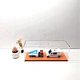 acrylic display box